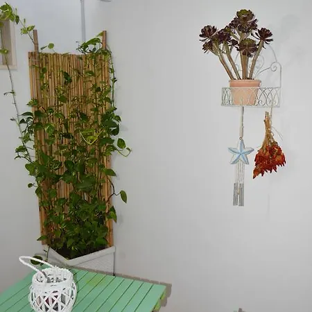 Tramonto -appartamenti Oltremare- Lido Conchiglie